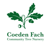Coeden Fach Community Tree Nursery